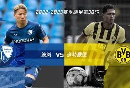 波尔图战胜多特蒙德，葡萄牙球队斩获胜利(葡萄牙波尔图市)